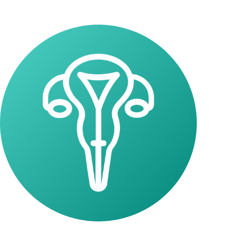 icon uterus