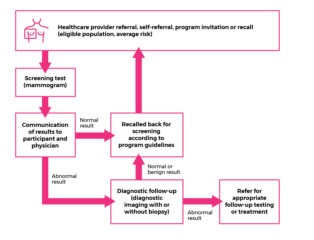 Flow chart that describes the breast cancer screening pathway. Step 1: Healthcare provider referral, self-referral, program invitation or recall for the eligible population at average risk. Step 2: Screening test (mammogram). Step 3: Communication of results to participant and physician. If the result is normal, Step 4 is Recalled back for screening according to program guidelines. If the result is abnormal, Step 4 is Diagnostic follow-up (diagnostic imaging with or without biopsy). If the result is normal or benign, Step 5 is Recalled back for screening according to program guidelines. If the result is abnormal, Step 5 is Refer for appropriate follow-up testing or treatment. 