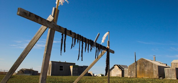 Indigenous community buildings and skins drying on a wooden rack on a blue-sky day.